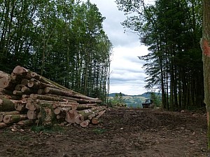 P1090922.JPG