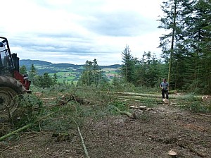P1090941.JPG