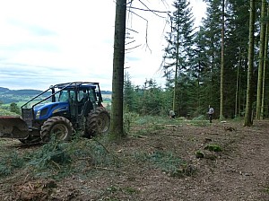 P1090945.JPG