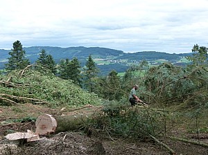 P1090981.JPG