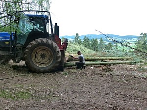 P1090985.JPG