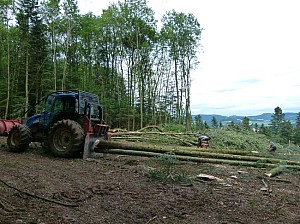 P1090990.JPG