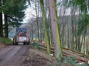 P1140025.JPG
