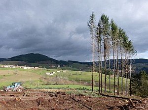 P1140156.JPG