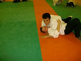 IMGP5175.JPG