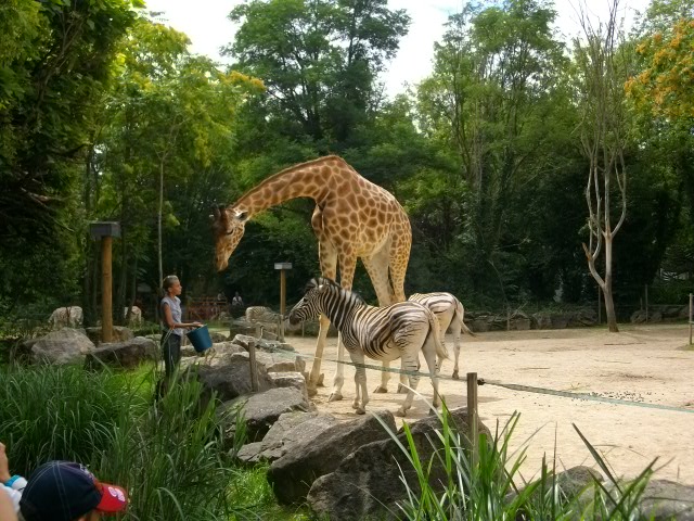 IMGP3699.JPG