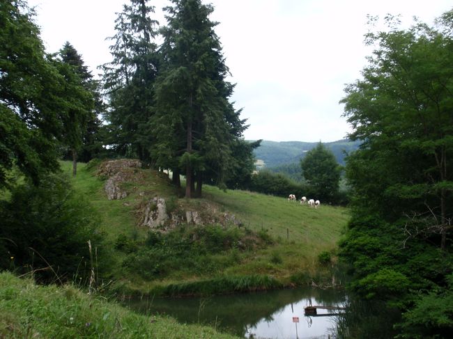 Vermorel (2).JPG