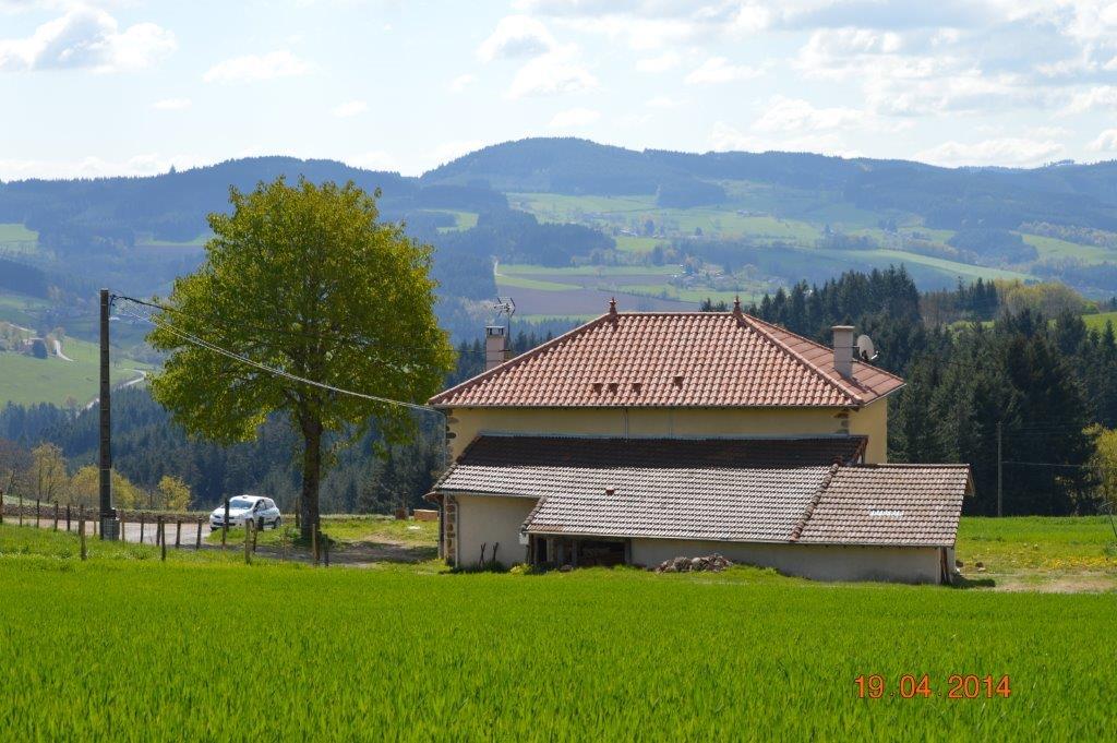 DSC_0108.jpg