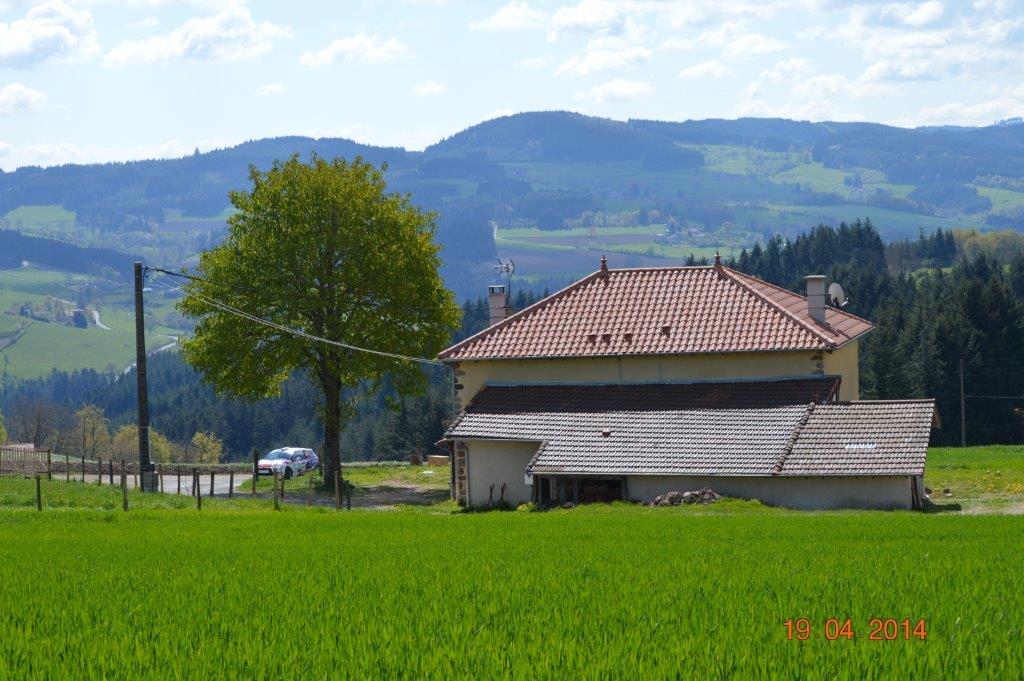 DSC_0111.jpg