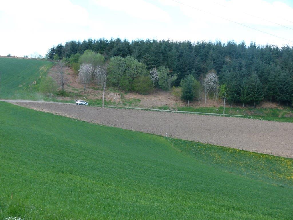 P1200400.jpg
