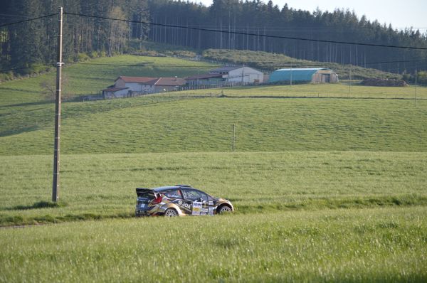 DSC_0613.JPG