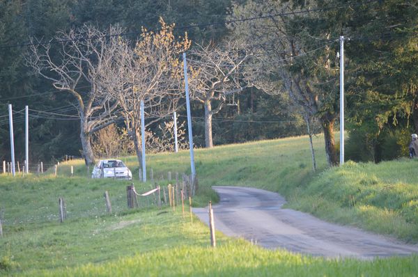 DSC_0761.JPG