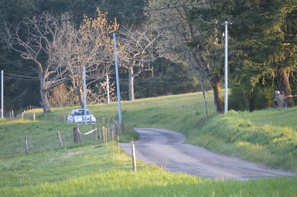 DSC_0762.JPG
