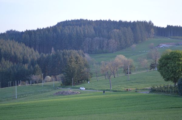 DSC_0790.JPG