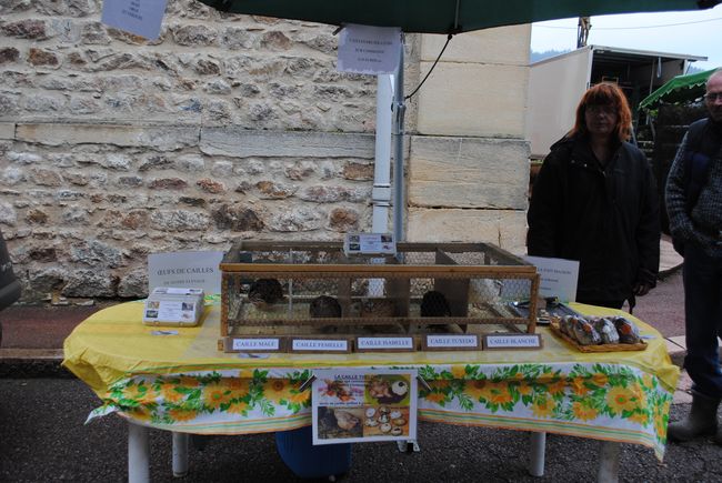 foire 2013-48.JPG