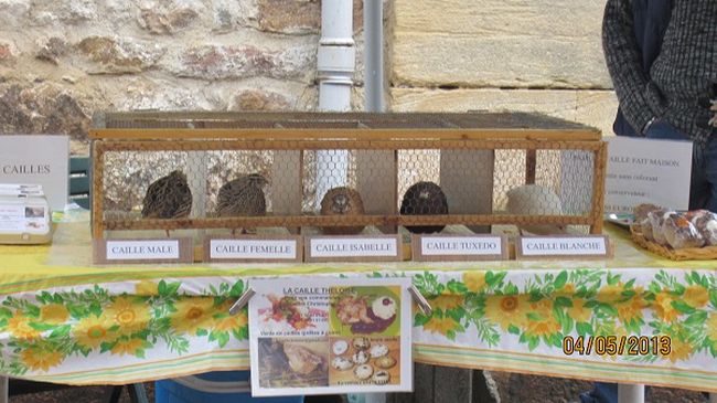 foire 2013-50_06.JPG