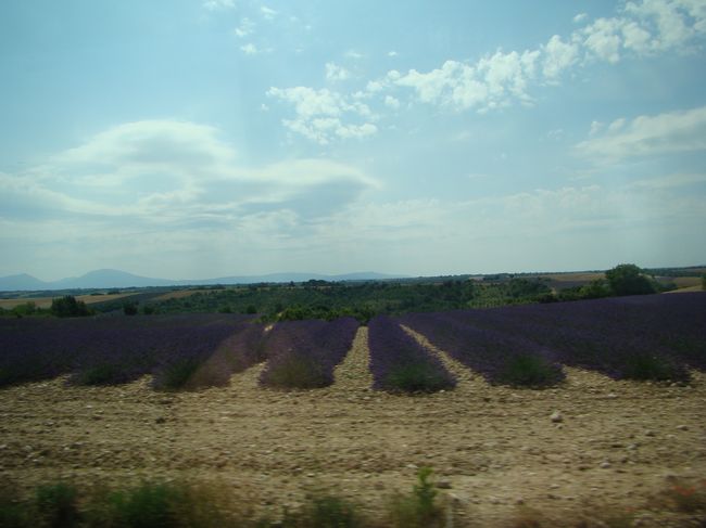 DSC06464.JPG