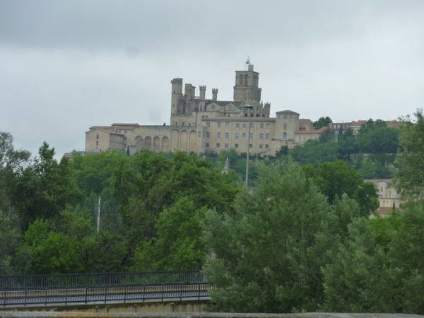 P1000773.jpg