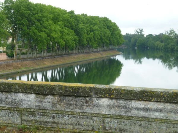 P1000775.jpg