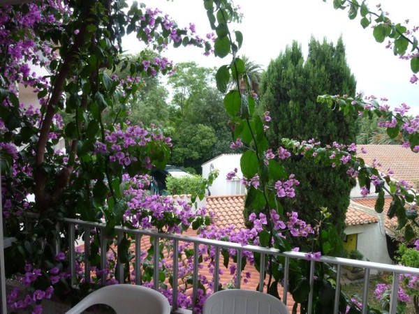 P1000784.jpg