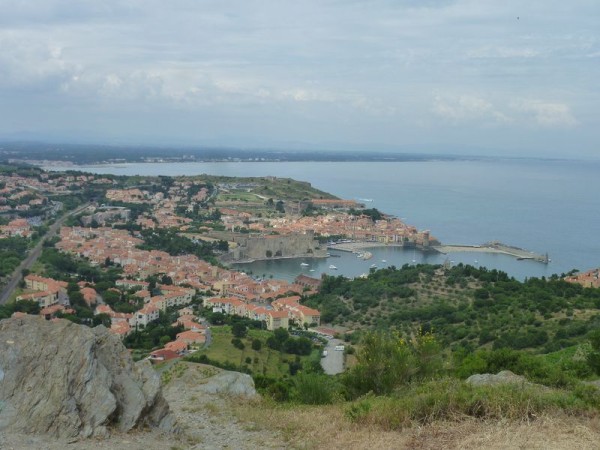 P1000818.jpg