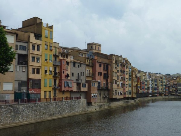 P1000846.jpg