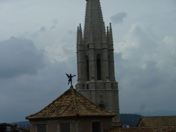 P1000850.jpg