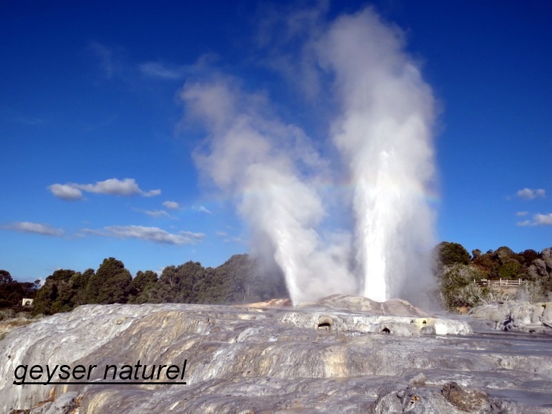 nz_05.JPG
