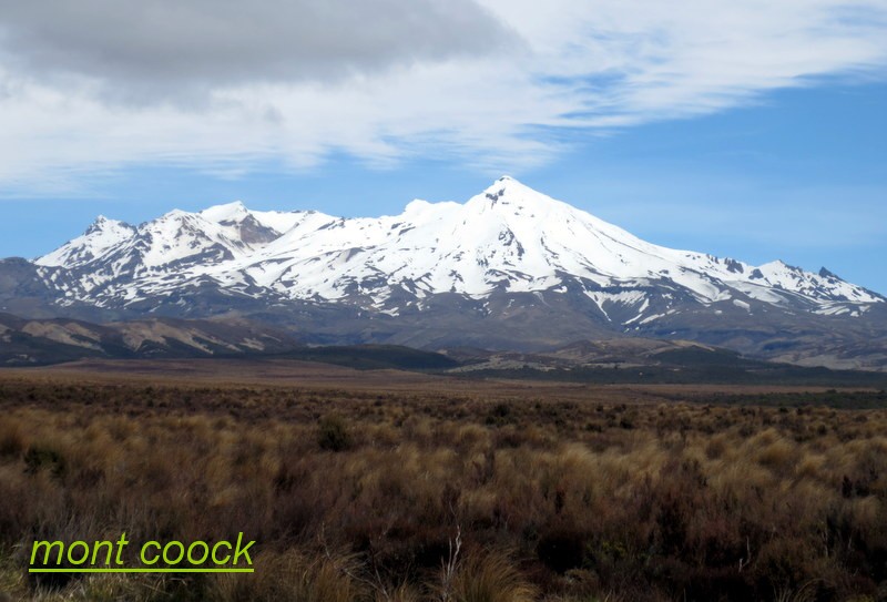 nz_06.JPG