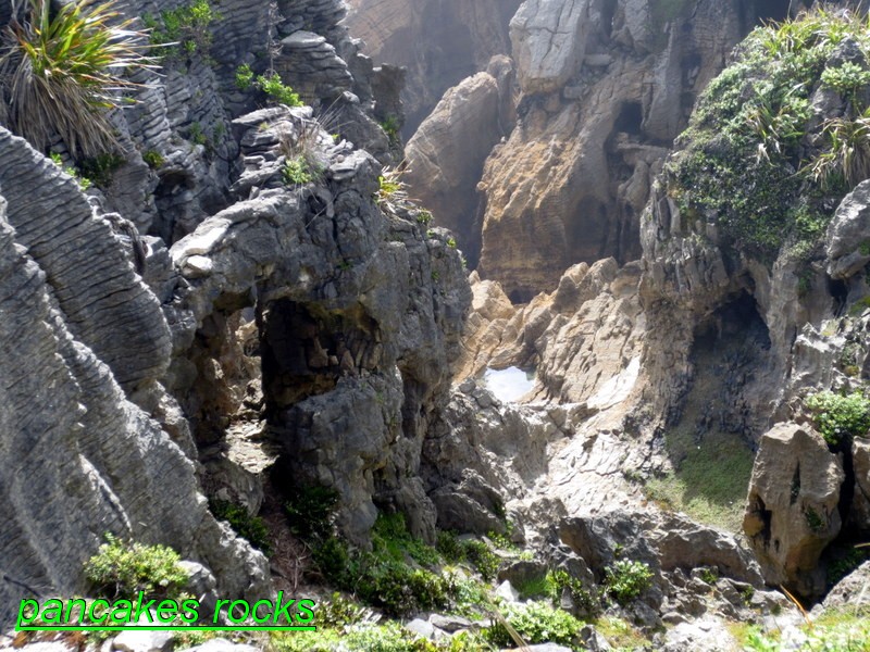 nz_09.JPG