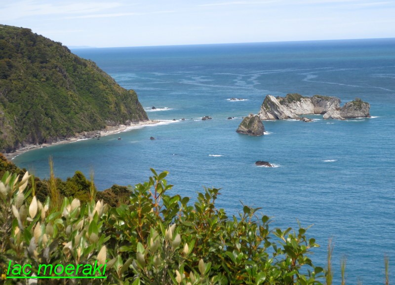 nz_16.JPG