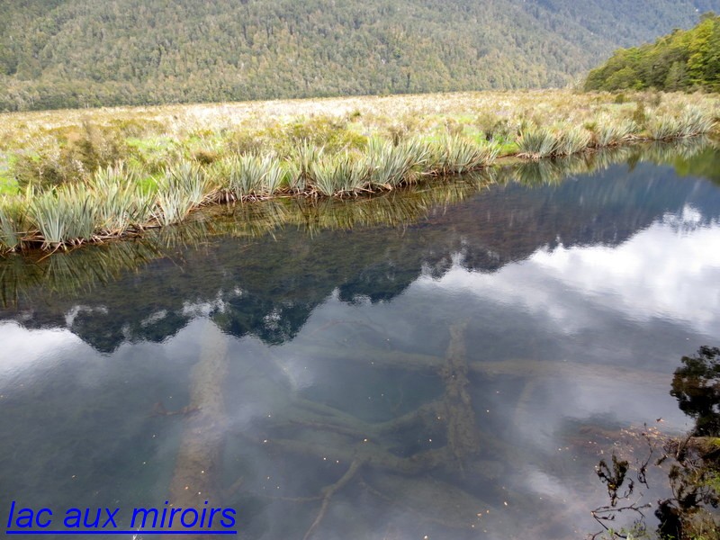 nz_20.JPG