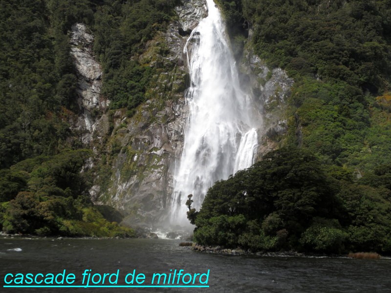 nz_22.JPG