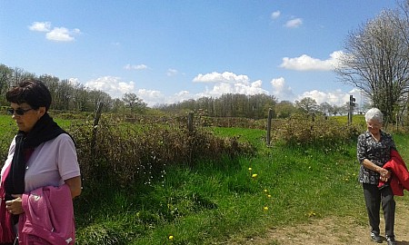 20150420_144809.jpg