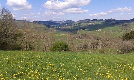 20150420_150313.jpg