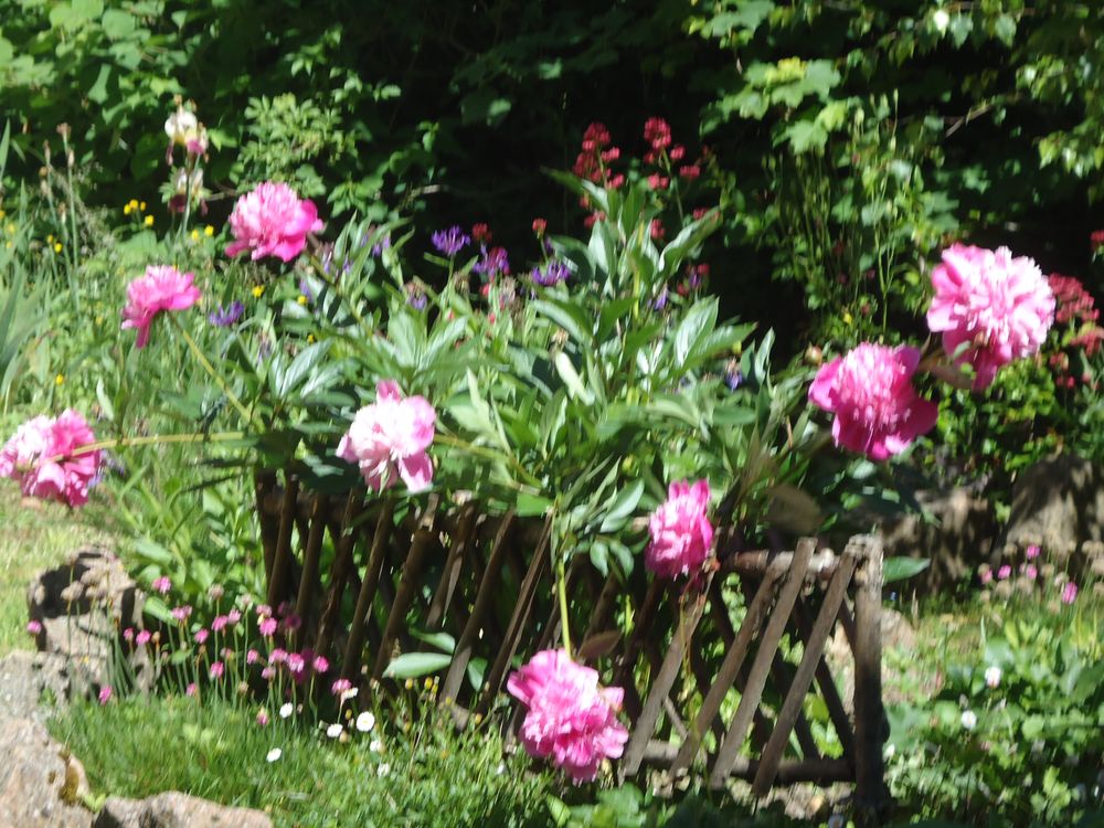 DSC01976.JPG