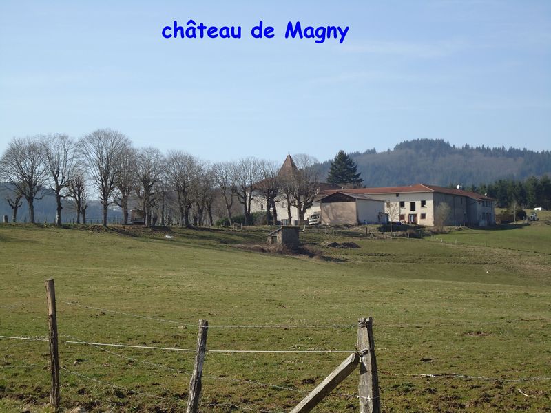 DSC00885.JPG
