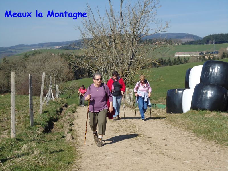 DSC00888.JPG