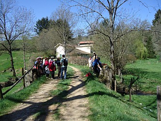 t_DSC00260