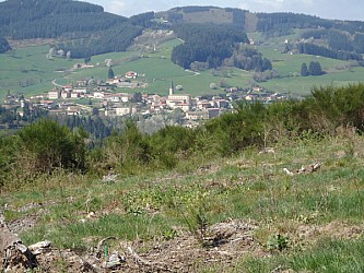 t_DSC00262
